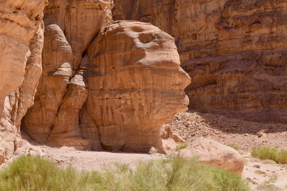 Hotel Harmony Luxury Camp Wadi Rum Exterior foto
